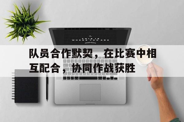 队员合作默契，在比赛中相互配合，协同作战获胜